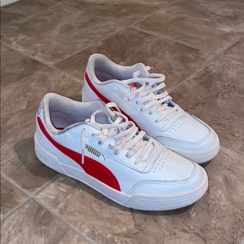 Pumas